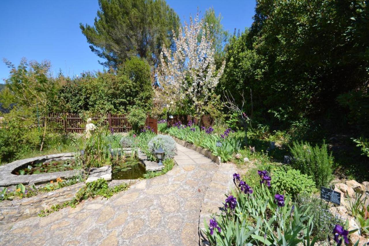 Maison De Caractere A Ceyreste - Terrasse Et Jardin Cloture * Ceyreste
